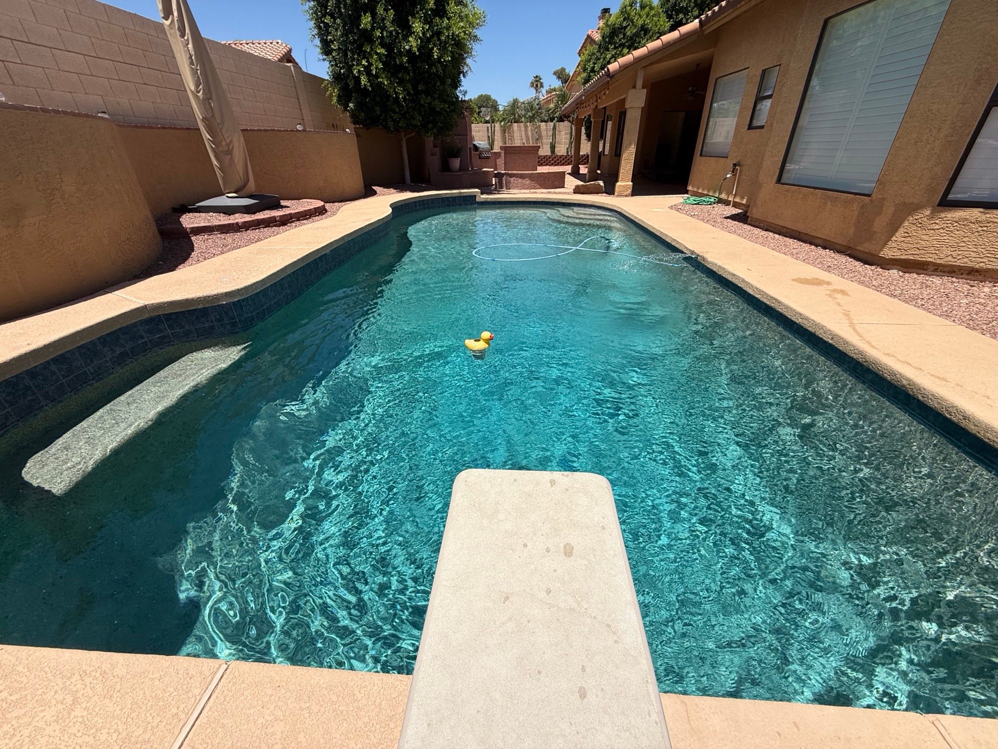 Family backyard pool with diving board and a rubber duck floating